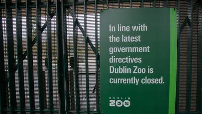 Coronavirus: Dublin Zoo says keepers are social distancing from its animals