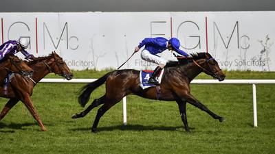 Jim Bolger’s Moonlight Magic takes Leopardstown Derby Trial