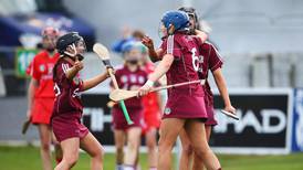 Wins for Galway, Limerick and Kilkenny in the camogie championship