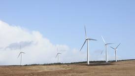 Wind supplied third of electricity needs in 2019, says IWEA