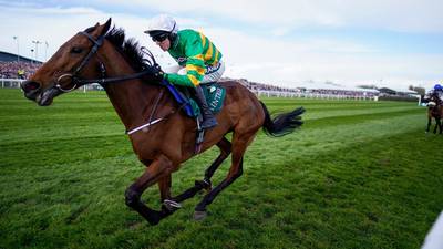 Fakir D’oudairies faces formidable weight carrying challenge in Cheltenham handicap feature 