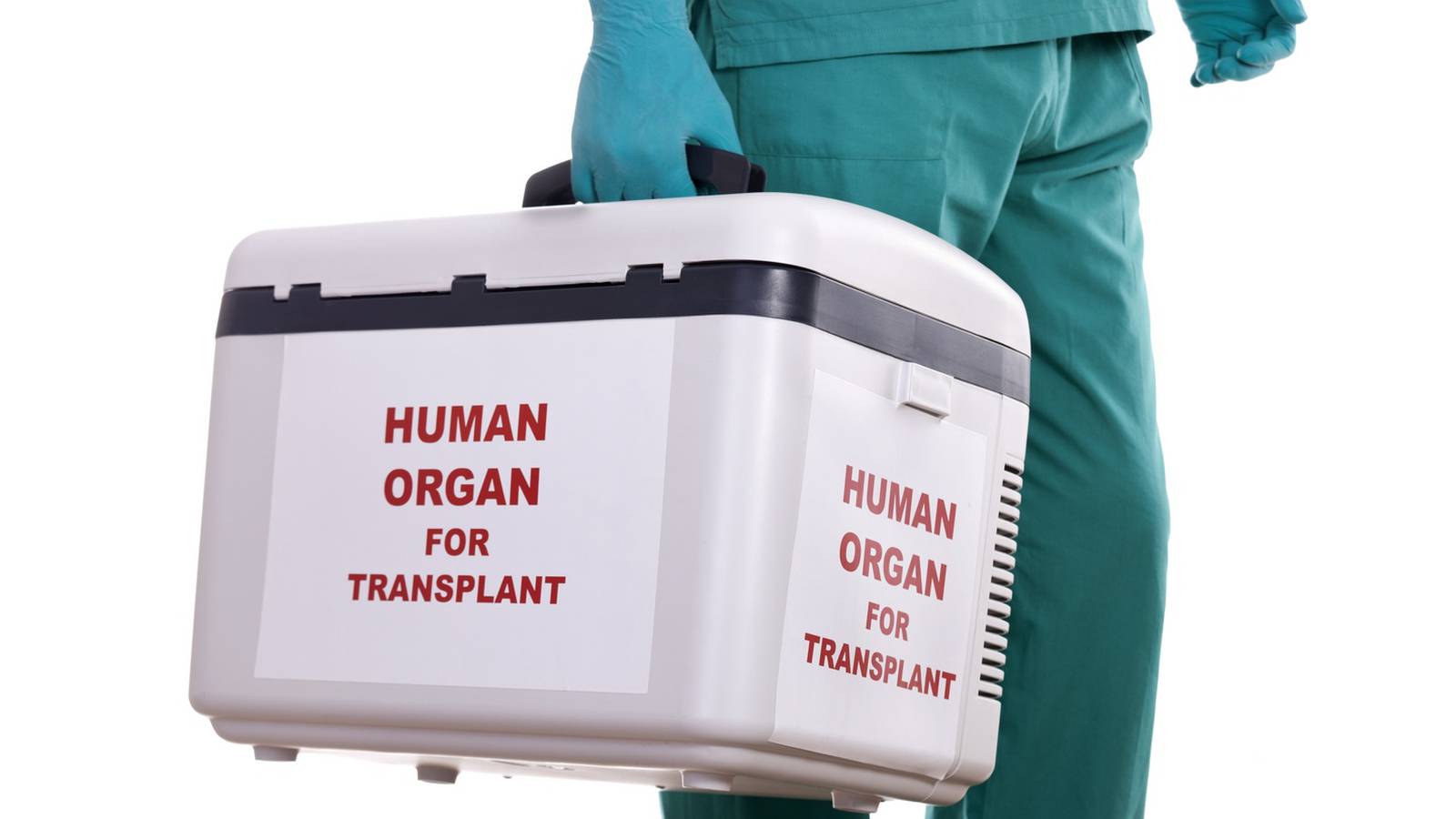 Донор после смерти. Трансплантология органов и ткани. Трансплантация органов человека. Материал для трансплантации.