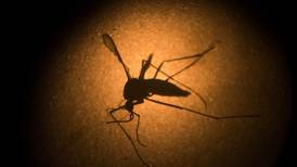 Zika virus:  case through sexual transmission reported in US