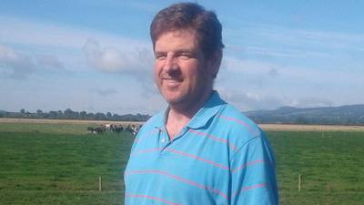 A bad time to expand: Brexit stalls beef farmer’s ambitions