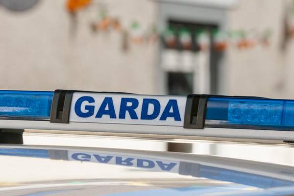 Female pedestrian in 60s dies after being struck by truck in Co Kildare