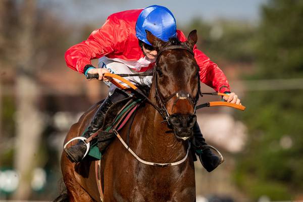 A Plus Tard sets out on Cheltenham path with Betfair Chase reappearance at Haydock