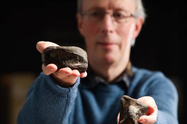 Ireland’s first dinosaur bones