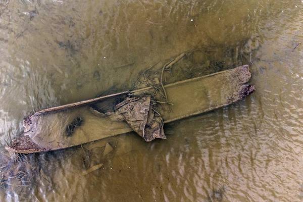 Possible ancient logboat spotted in River Boyne by citizen archaeologist