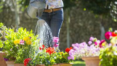 Patio pleasers: 10 tips for summer plant pots that will flower all season long