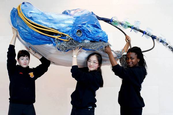 Project on plastic pollution wins top prize at Eco Unesco awards