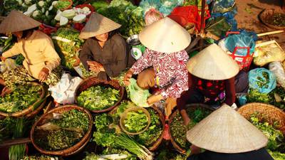 Vietnam: a beautiful, bustling, and bemusing holiday destination