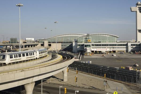 Man arrested trying to smuggle 34 finches through JFK for singing contests