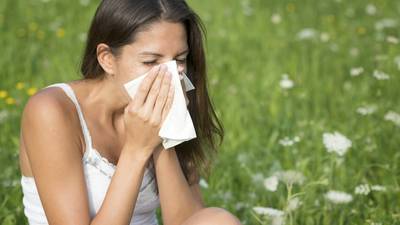Hottest day of the year bad news for hay-fever sufferers