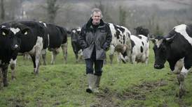 Milking it: what’s in store for the Irish dairy industry when quotas end