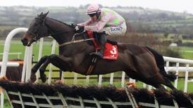 Getabird in full flight for Supreme Novices’ Hurdle at Cheltenham