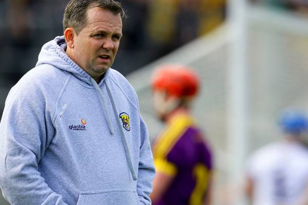 Davy Fitzgerald to stay on as Wexford hurling manager