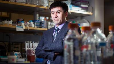Ireland ill-prepared for ethical issues raised by gene editing, says expert