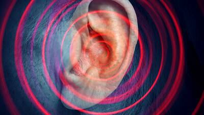 Researchers and sufferers of Tinnitus gather to find a cure for this mysterious condition 