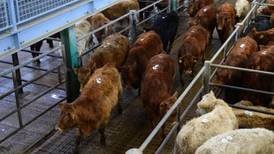 Some trading allowed at livestock marts under new measures