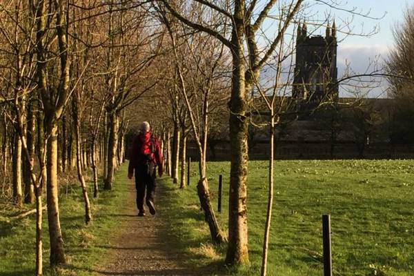 Path of a Waterford saint hopes to become the 'Irish Camino'