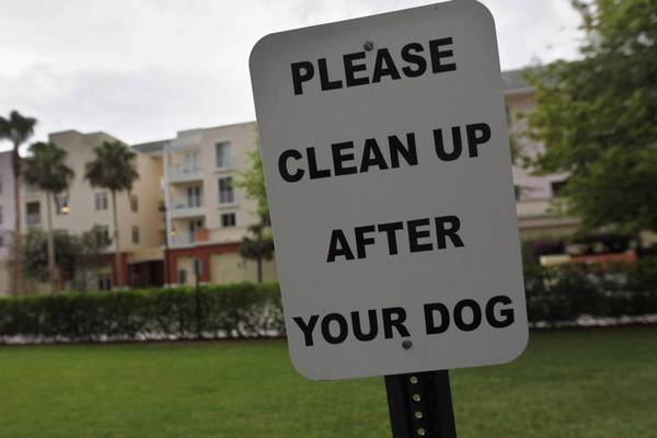 Diarmaid Ferriter: Shaming is needed to stop dog fouling in public