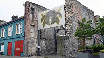 Fifty artists, 17 venues: EVA International art extravaganza takes over Limerick 
