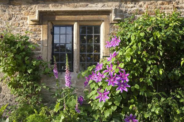 A partnership made in heaven: climbing roses and clematis