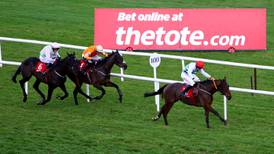 Future of Tote Ireland set to be decided by end of March