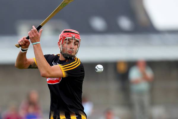 Kilkenny in a good place ahead of national league quarter-finals