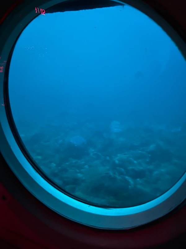 Rosita Boland's trip in a submersible