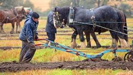 Sun to shine on 200,000 at ploughing in Laois