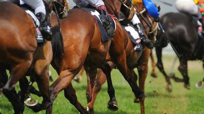 Amateur horse racing may halt as organisers fail to secure insurance cover