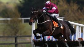 Gigginstown’s Apple’s Jade leads stable’s  Punchestown hopes