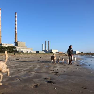 Sandymount residents push for taskforce on works as years of disruption expected