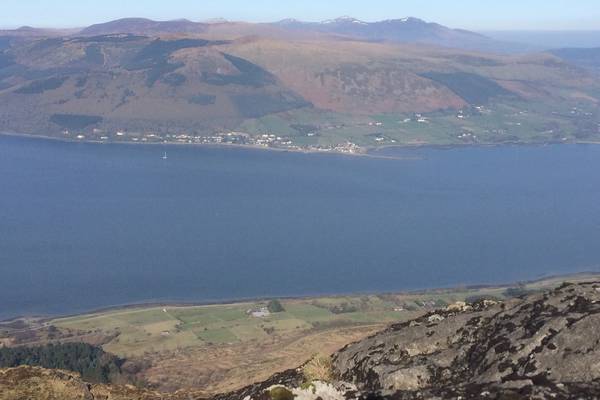 Walk for the Weekend: Cooley Mountains, Co Louth