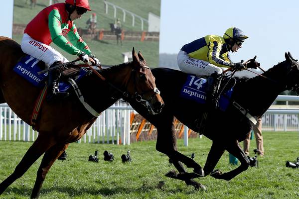 Willoughby Court ruled out of Cheltenham Festival