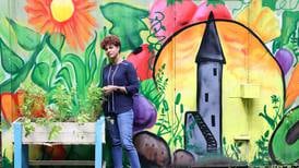 ‘The fresh air is good for the head’: The joy and community to be found in city allotments
