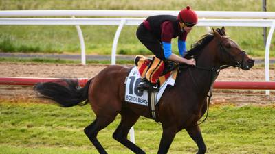 Confidence growing in Bondi Beach’s  Melbourne Cup prospects