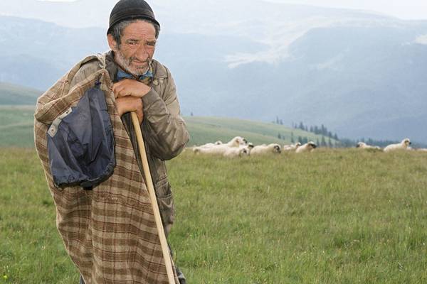 What Carpathian shepherds can teach us about patience and isolation