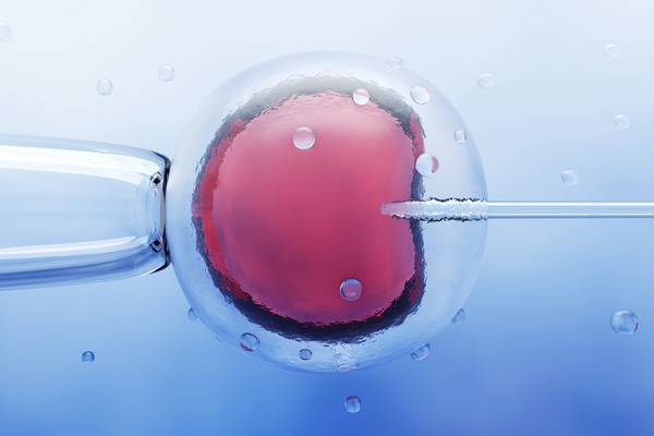 The high, mysterious and added costs of IVF