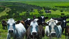 Irish farming cannot be beyond question in climate change battle