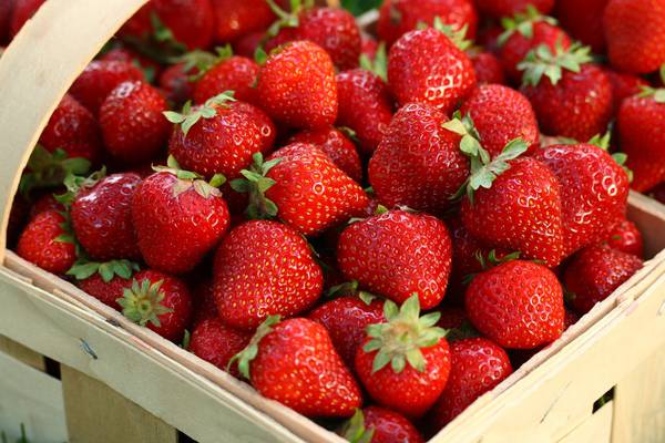 Russ Parsons: Scanning the roadside for the perfect strawberries