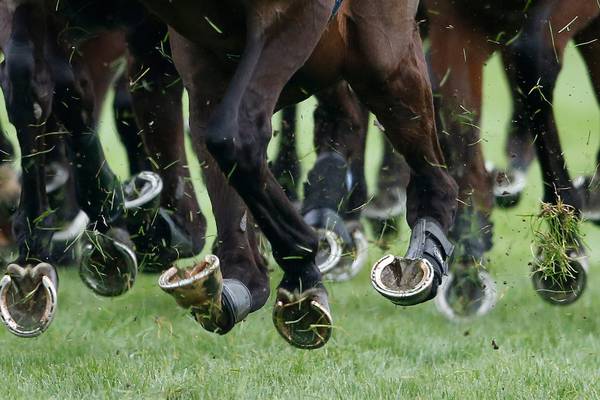 Horse at centre of Cheltenham Festival doping inquiry a possible Perth runner