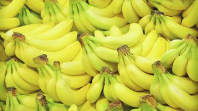 Banana farm slips up