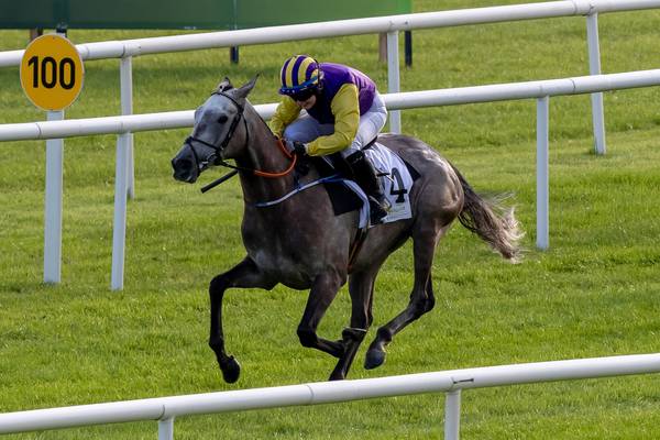 Princess Zoe set to return to action at Cork on Saturday