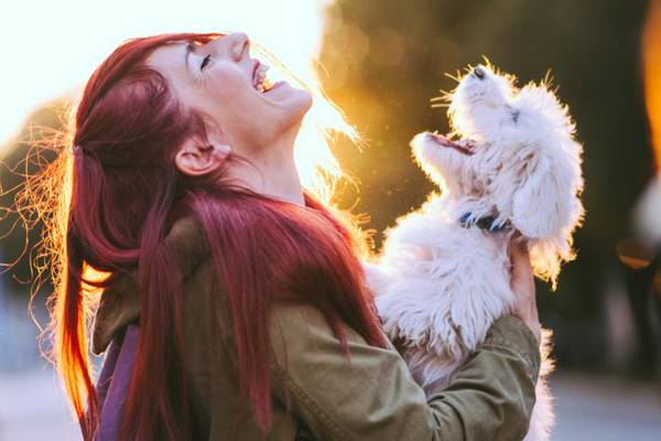 Man’s best friend: owning a dog really is good for your health