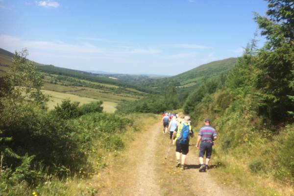 Walk for the Weekend: Silvermine Hills, Co Tipperary