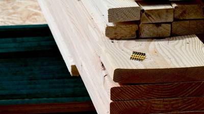 Prices for basic timber products up 60%, TD claims