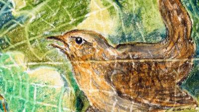 Another Life: None flies straighter or with more urgency than the wren