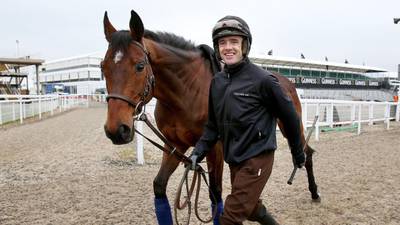 Ruby Walsh was wrong: no horse is replaceable